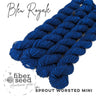Worsted Mini