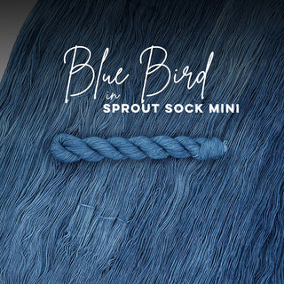 Blue Bird | Sprout Sock Mini