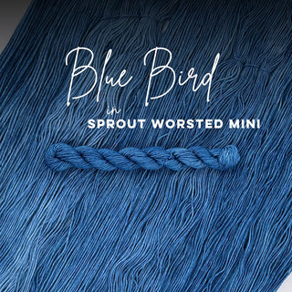 Blue Bird | Sprout Worsted Mini