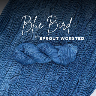 Blue Bird | Sprout Worsted