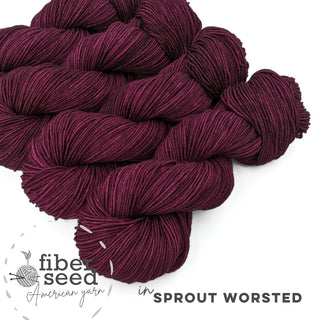 Brambleberry | Sprout Worsted