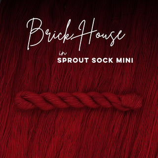 Brick House | Sprout Sock Mini