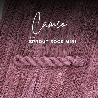 Cameo | Sprout Sock Mini