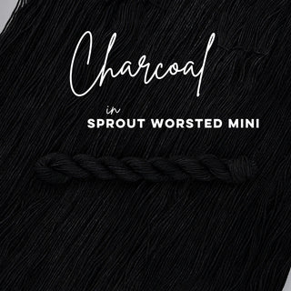 Charcoal | Sprout Worsted Mini