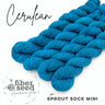 Sock Mini