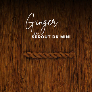Ginger | Sprout DK Mini
