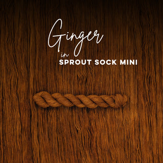 Ginger | Sprout Sock Mini