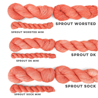 Georgia Peach | Sprout Worsted