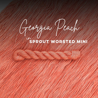 Georgia Peach | Sprout Worsted Mini