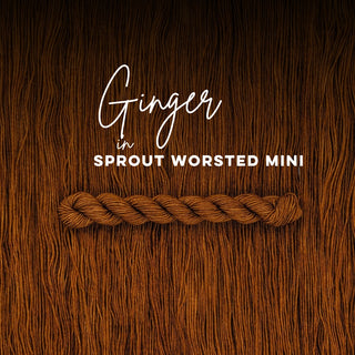 Ginger | Sprout Worsted Mini