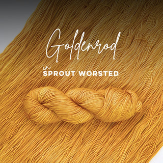 Goldenrod | Sprout Worsted