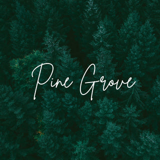 Pine Grove | Sprout Worsted