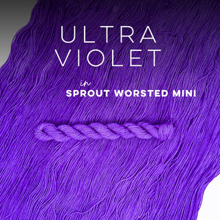 Ultra Violet | Sprout Worsted Mini