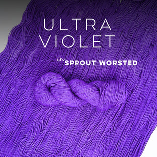 Ultra Violet | Sprout Worsted