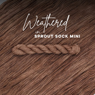 Weathered | Sprout Sock Mini