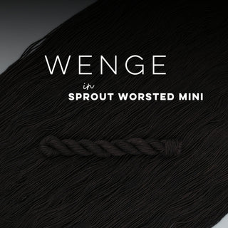 Wenge | Sprout Worsted Mini