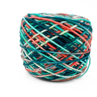 Shrimpfest | Sprout Sock