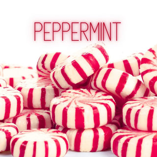 Peppermint | Sprout Sock