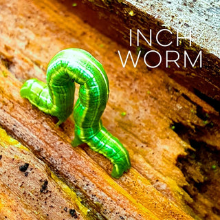 Inch Worm | Sprout Sock