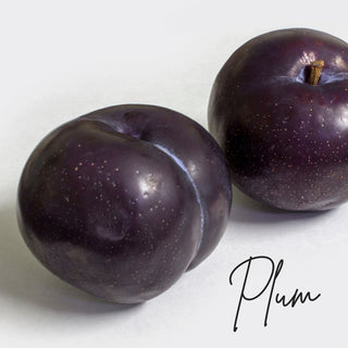 Plum | Sprout Sock Mini
