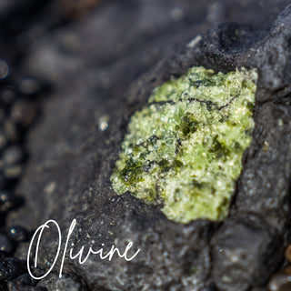 Olivine | Sprout Worsted Mini