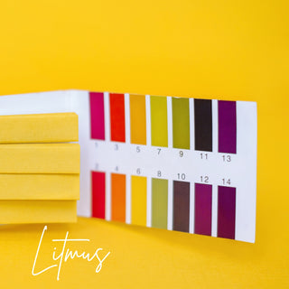 Litmus | Sprout Worsted