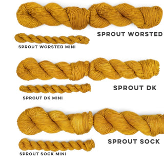 The Bee's Knees | Sprout DK