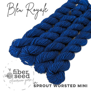 Bleu Royale | Sprout Worsted Mini