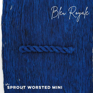 Bleu Royale | Sprout Worsted Mini