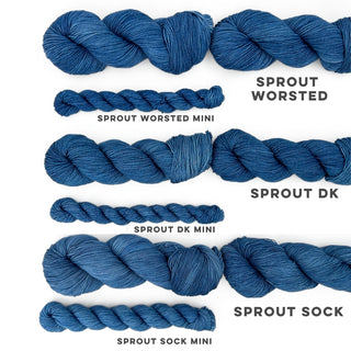 Blue Bird | Sprout DK