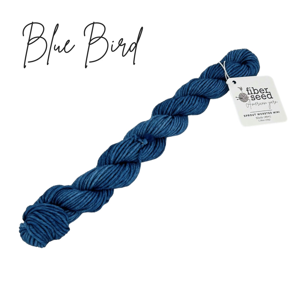 Blue Bird | Sprout Worsted Mini – Fiber Seed Yarn Co.