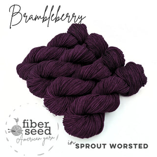 Brambleberry | Sprout Worsted