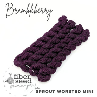 Brambleberry | Sprout Worsted Mini