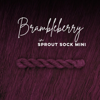 Brambleberry | Sprout Sock Mini