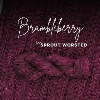 Brambleberry | Sprout Worsted