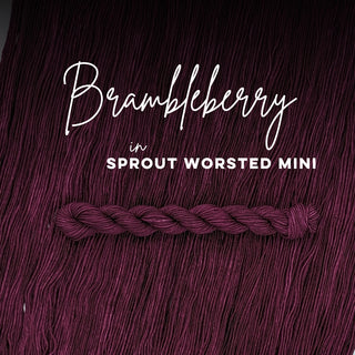 Brambleberry | Sprout Worsted Mini