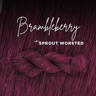 Brambleberry | Sprout Worsted