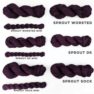 Brambleberry | Sprout Sock Mini