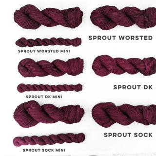 Brambleberry | Sprout Sock Mini