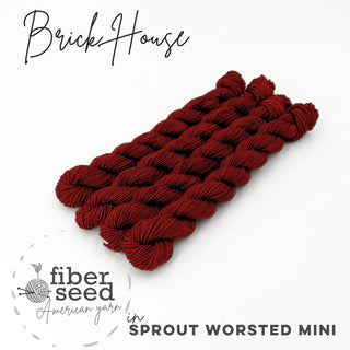 Brick House | Sprout Worsted Mini