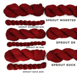 Brick House | Sprout Sock Mini