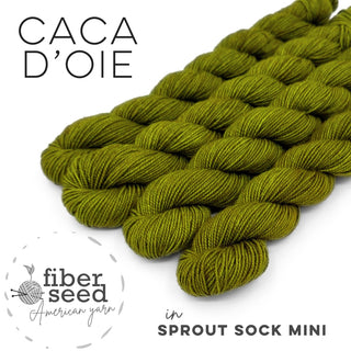 Caca d'Oie | Sprout Sock Mini