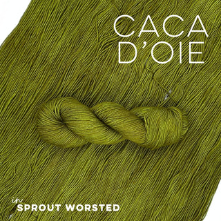 Caca d'Oie | Sprout Worsted