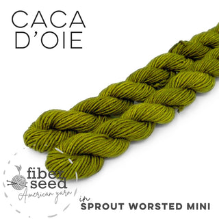 Caca d'Oie | Sprout Worsted Mini