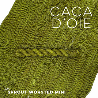 Caca d'Oie | Sprout Worsted Mini