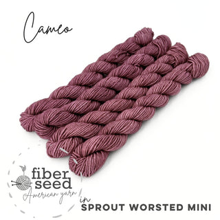 Cameo | Sprout Worsted Mini