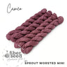 Worsted Mini