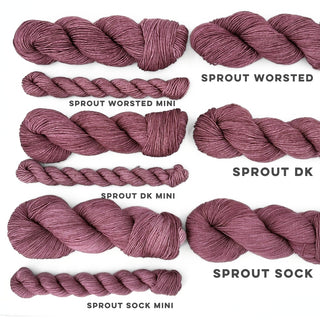 Cameo | Sprout Worsted Mini