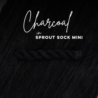 Charcoal | Sprout Sock Mini
