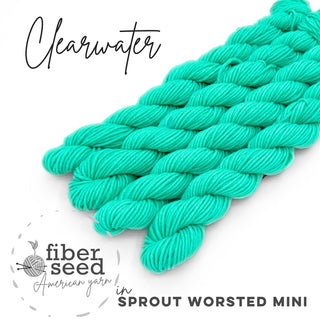 Clearwater | Sprout Worsted Mini